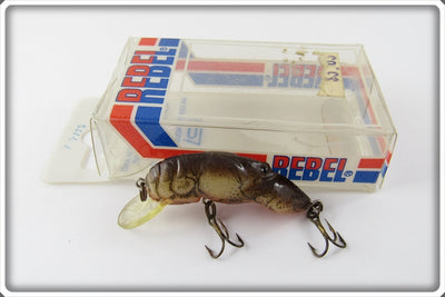 Rebel Brown Crawdad In Box