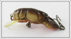 Rebel Brown Crawdad In Box