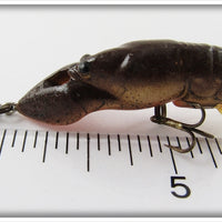 Rebel Brown Crawdad In Box