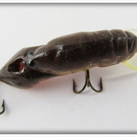 Rebel Brown Crawdad In Box