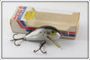 Rebel Brown Crawdad In Box