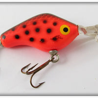 Boone's Orange & Black Crankster