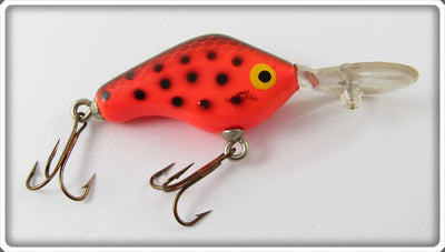 Boone's Orange & Black Crankster