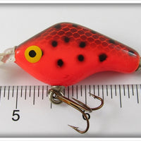 Boone's Orange & Black Crankster