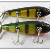 Creek Chub Sioux City Perch Injured Minnow Pair