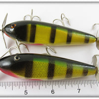 Creek Chub Sioux City Perch Injured Minnow Pair