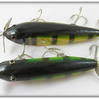 Creek Chub Sioux City Perch Injured Minnow Pair