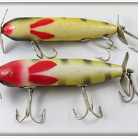 Creek Chub Sioux City Perch Injured Minnow Pair