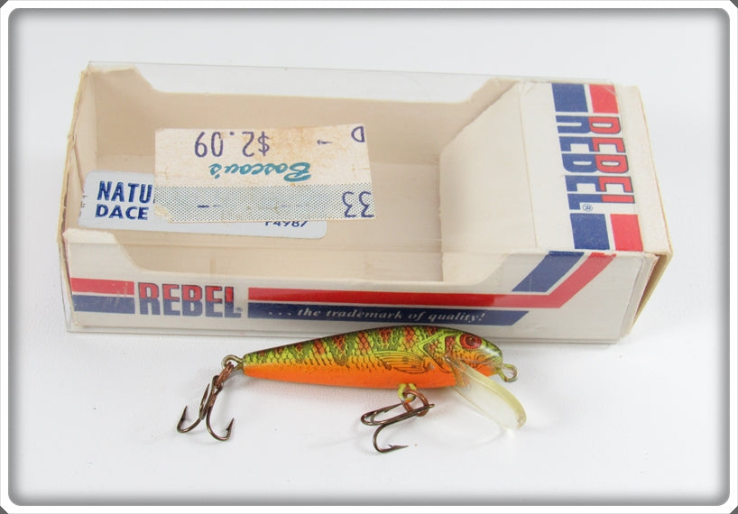 Vintage Rebel Naturalized Perch Tiny Minnow Lure In Box 