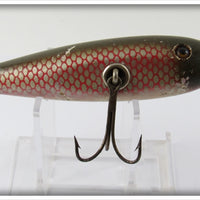 Creek Chub Redside Early Injured Minnow