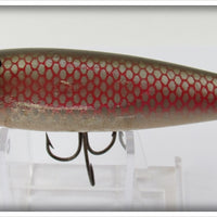 Creek Chub Redside Early Injured Minnow