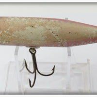 Creek Chub Redside Early Injured Minnow