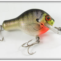 Vintage Bagley Bream On White Small Fry Bream Lure