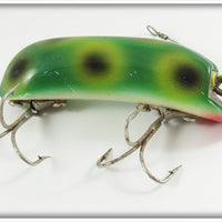 P&K Frog Spot Bright Eyes