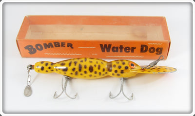 Bomber Yellow Coachdog Water Dog In Box