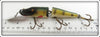 Creek Chub Perch Jointed Pikie