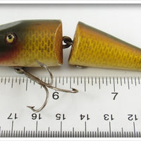 Creek Chub Golden Shiner Baby Jointed Pikie