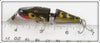 Creek Chub Frog Jointed Spinning Pikie