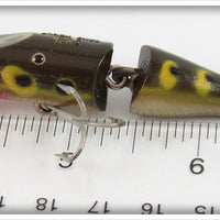 Creek Chub Frog Jointed Spinning Pikie
