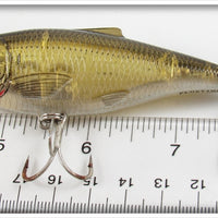 Live Target Floating Minnow Crankbait