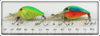 Storm Rainbow & Chartreuse Green Herringbone Wee Wart Pair