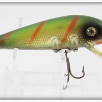 Heddon Perch Tiger