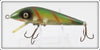 Heddon Perch Tiger