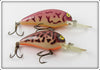 Bomber Model A Pair: Purple Coachdog & Purple Crawdad