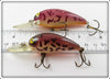 Bomber Model A Pair: Purple Coachdog & Purple Crawdad