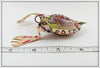 Folk Art Colorful Frog