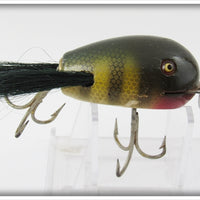 Creek Chub Perch Dingbat