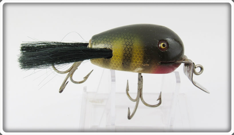 Creek Chub Perch Dingbat