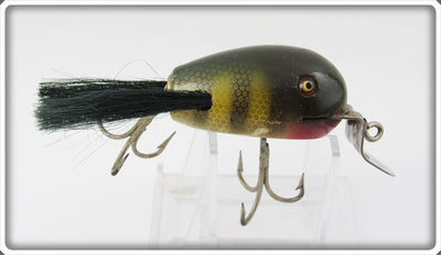 Creek Chub Perch Dingbat