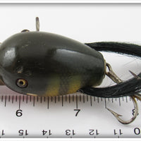 Creek Chub Perch Dingbat