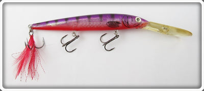 Rapala Purple Perch Down Deep Husky Jerk