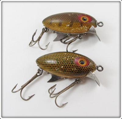 Clark's Perch Water Scout Pair