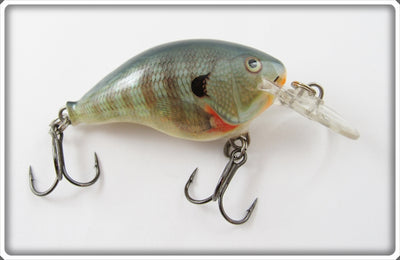 Rapala Natural Perch DT-4 Dives To 4 Ft
