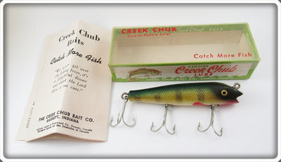 Creek Chub Perch Darter In Box