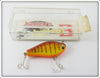 Bagley Crayfish On Chartreuse Shiner Pinfish In Box