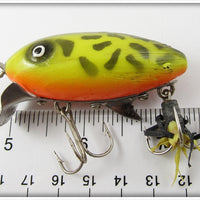 Strike King Yellow Coachdog Spence Scout