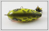 Strike King Yellow Coachdog Spence Scout