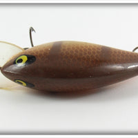 Smithwick Brown Shiner Orange Belly Bo Jack