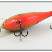 Smithwick Brown Shiner Orange Belly Bo Jack