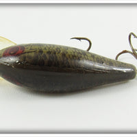 Rebel Naturalized Bass Teeny Shallow R