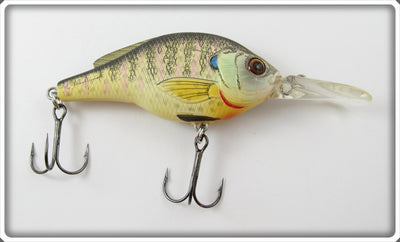 Live Target Bluegill Sunfish Hard Crankbait
