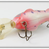 Worden's Blue & Black Spotted Timber Tiger