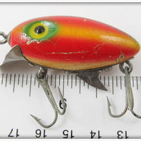 Clark's Rainbow Water Scout