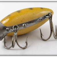 Clark's Yellow Perch Water Scout
