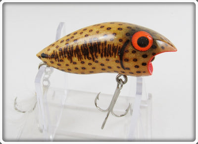 Robert Morgan Brown Fish