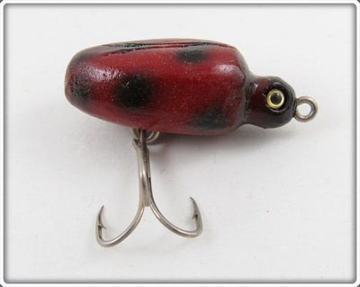 Robert Morgan Red Ladybug Beetle